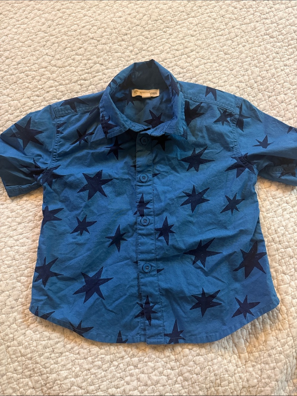 Tucker Tate Button Up